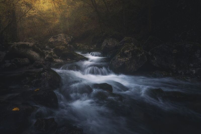 Timeless Flow фото превью