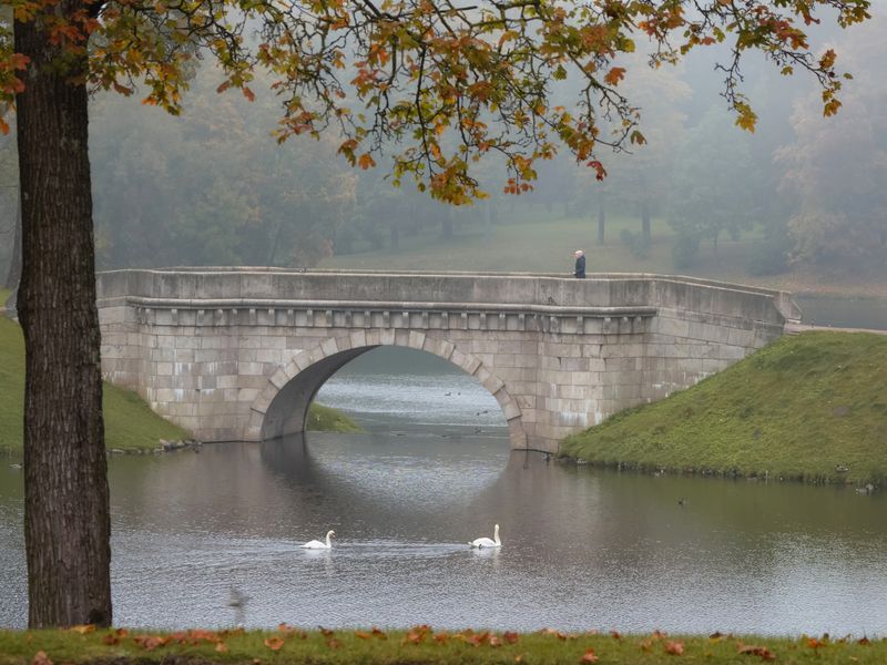 россия гатчина пригородыпетербурга парк осень туман дворцовыйпарк путешествия Октябрь в Гатчине фото превью