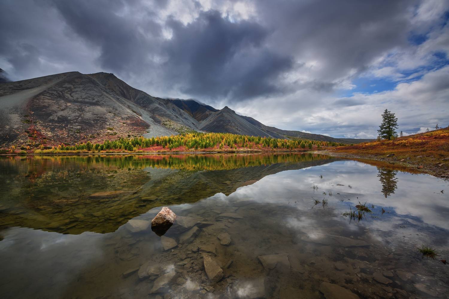 , Евдокимов Максим