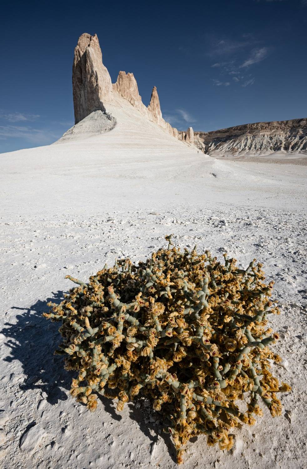 , Ширгин Сергей