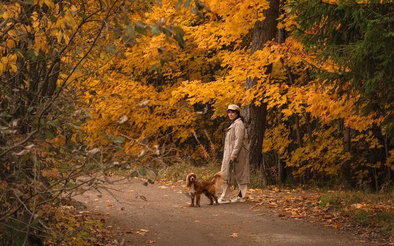 autumn фото превью