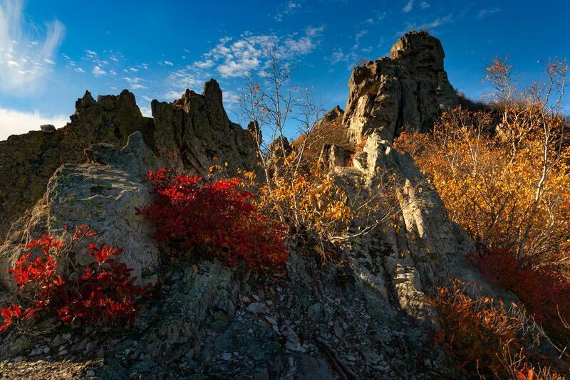 осень,рододендрон,кмв, бештау,пейзаж В царстве осеннего рододендрона фото превью