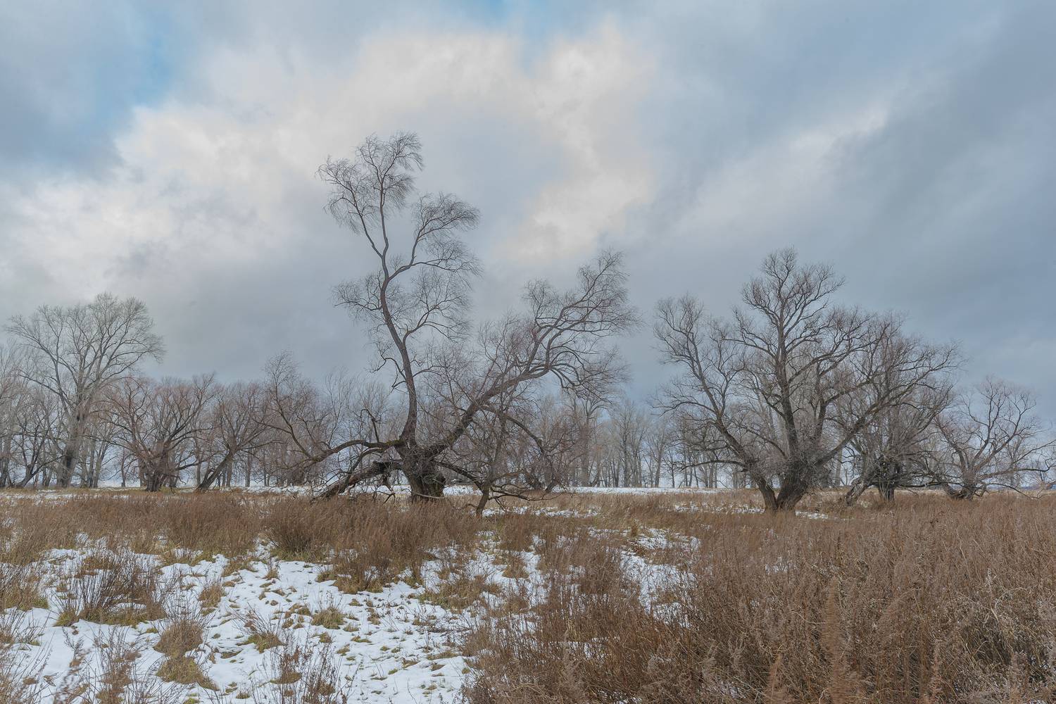 , Гильманов Артур