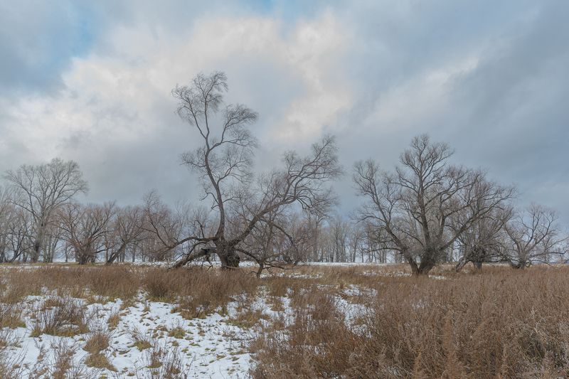 Ноябрь фото превью