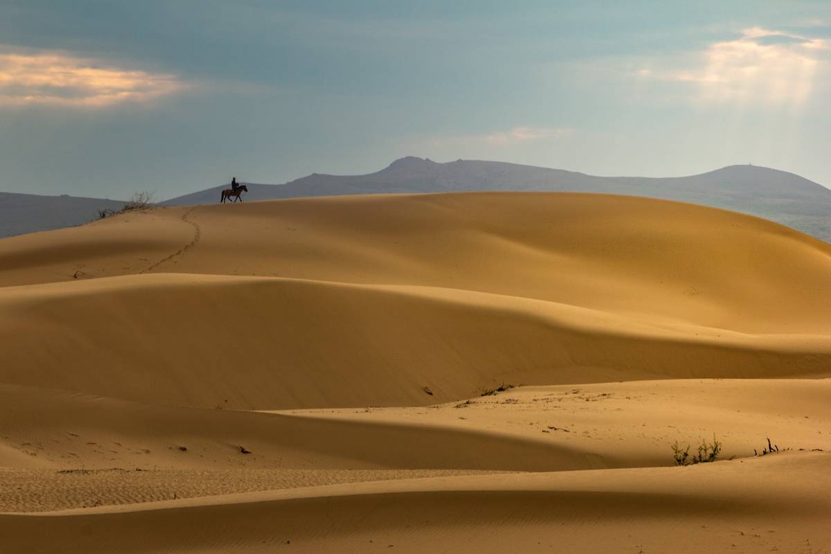 , Трофимов Алексей