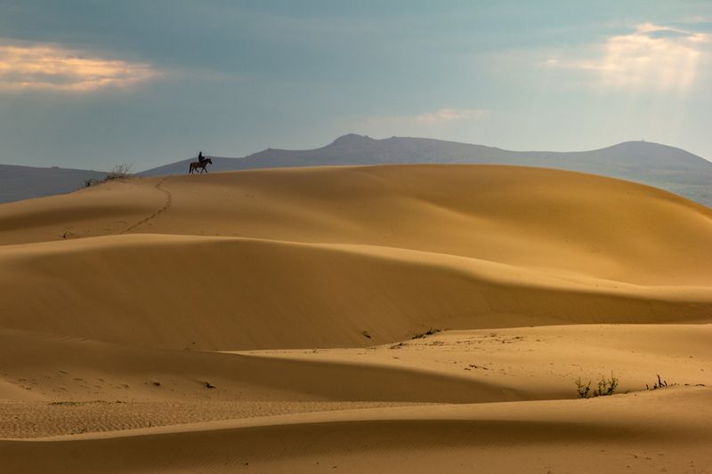 Пустынный странник фото превью