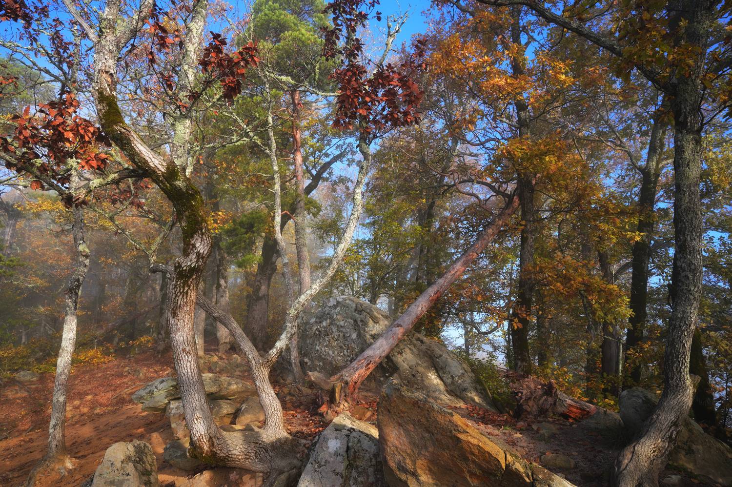 , Сергей Тихомиров