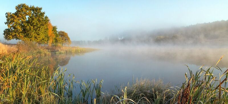 Осенние туманы. фото превью