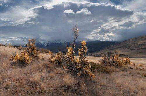 Осенние огоньки