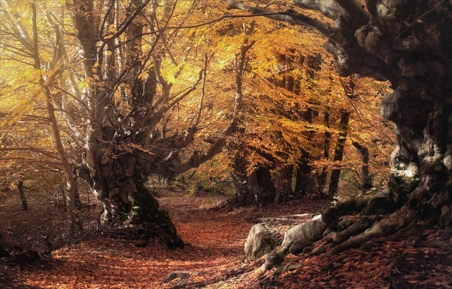 , Богорянов Алексей