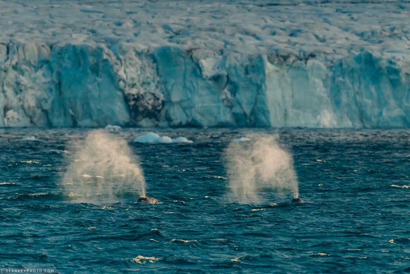 Дыхание гигантов  | Breath of Giants фото превью