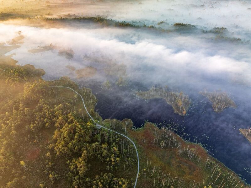 На планете Х фото превью