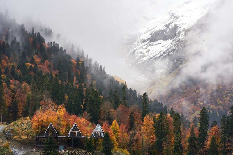 Три фото превью