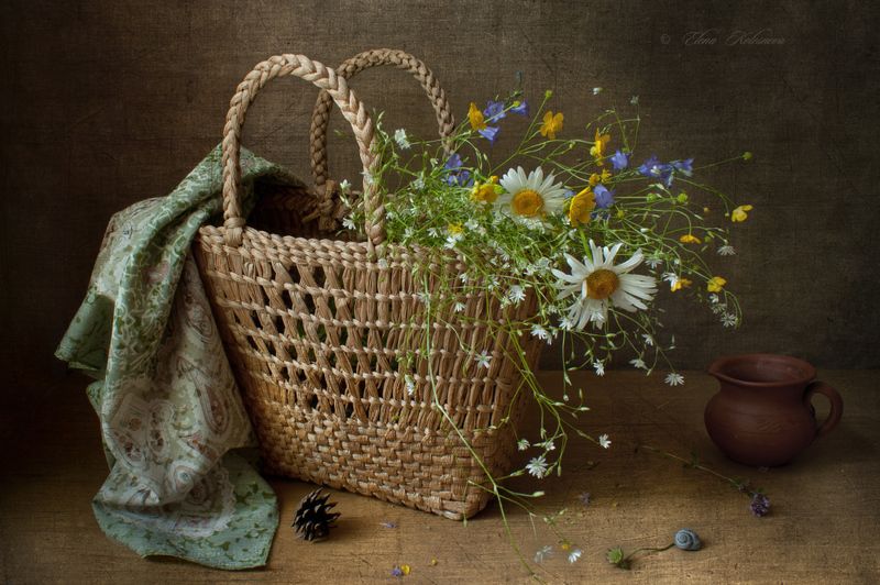 лето, цветы, ромашки О лете фото превью