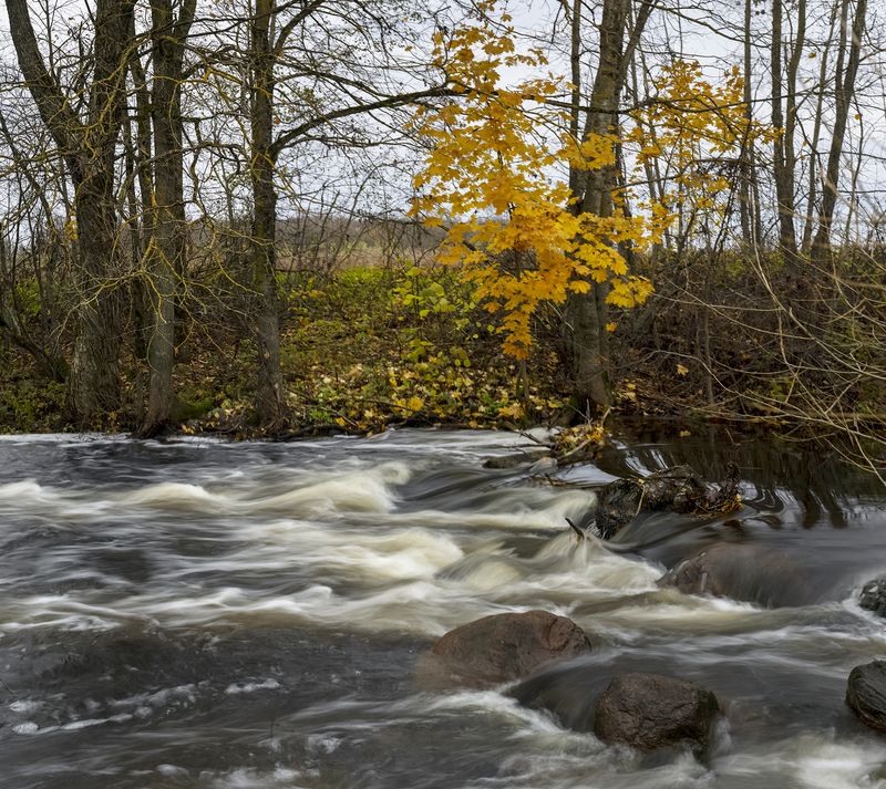 Autumn фото превью
