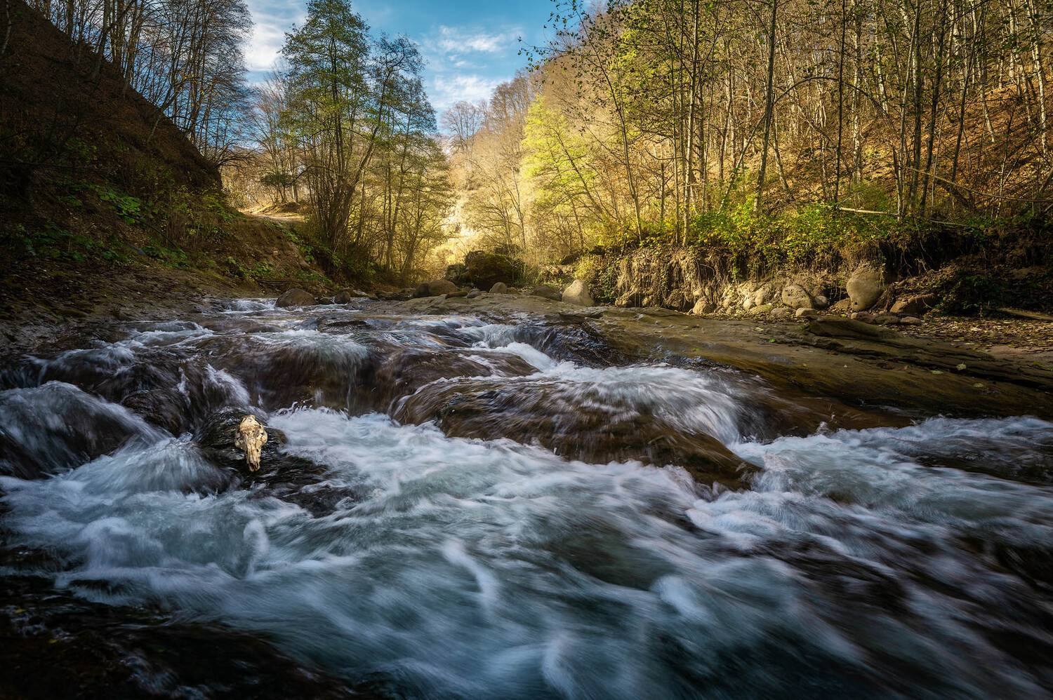, Шевченко Юрий
