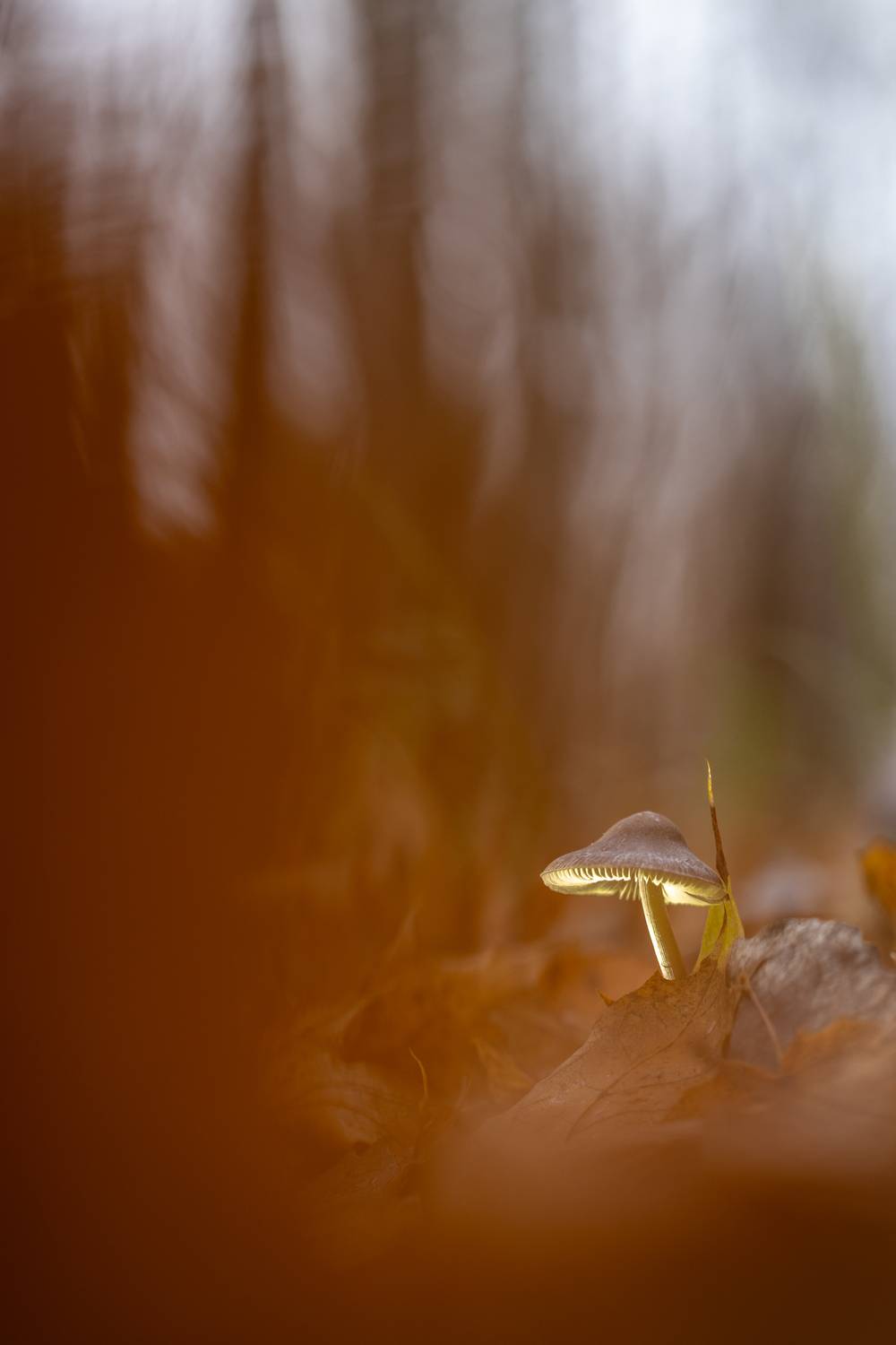 , Кузнецов Дмитрий