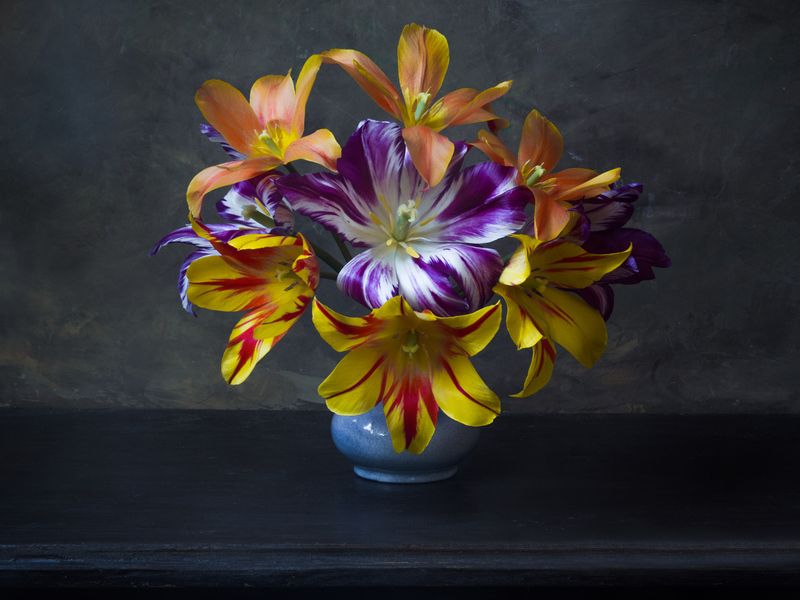 фото превью