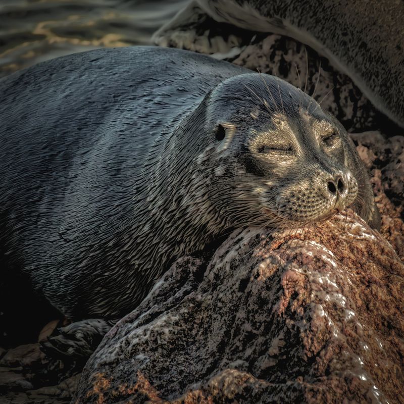 Сны... фото превью
