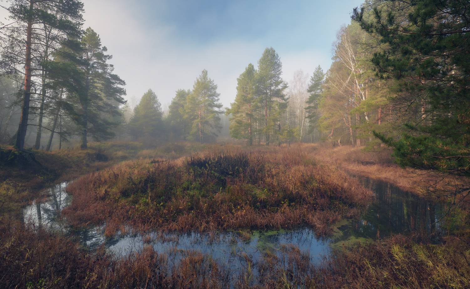 , Роман Лушпа