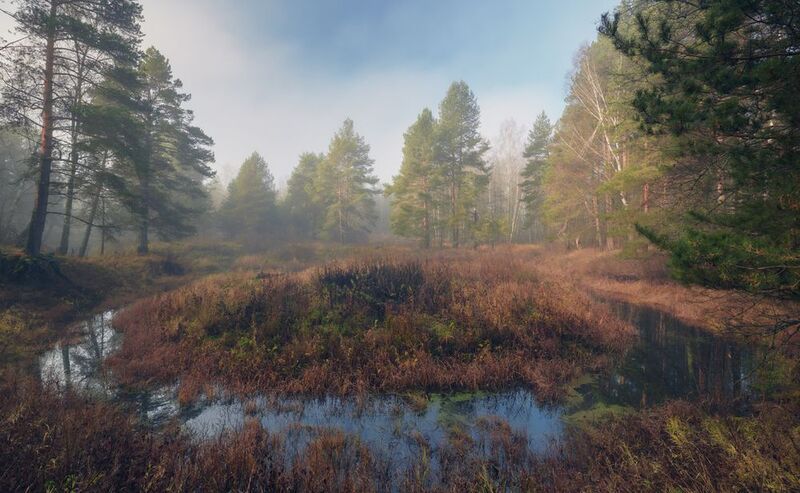 Островная ... фото превью
