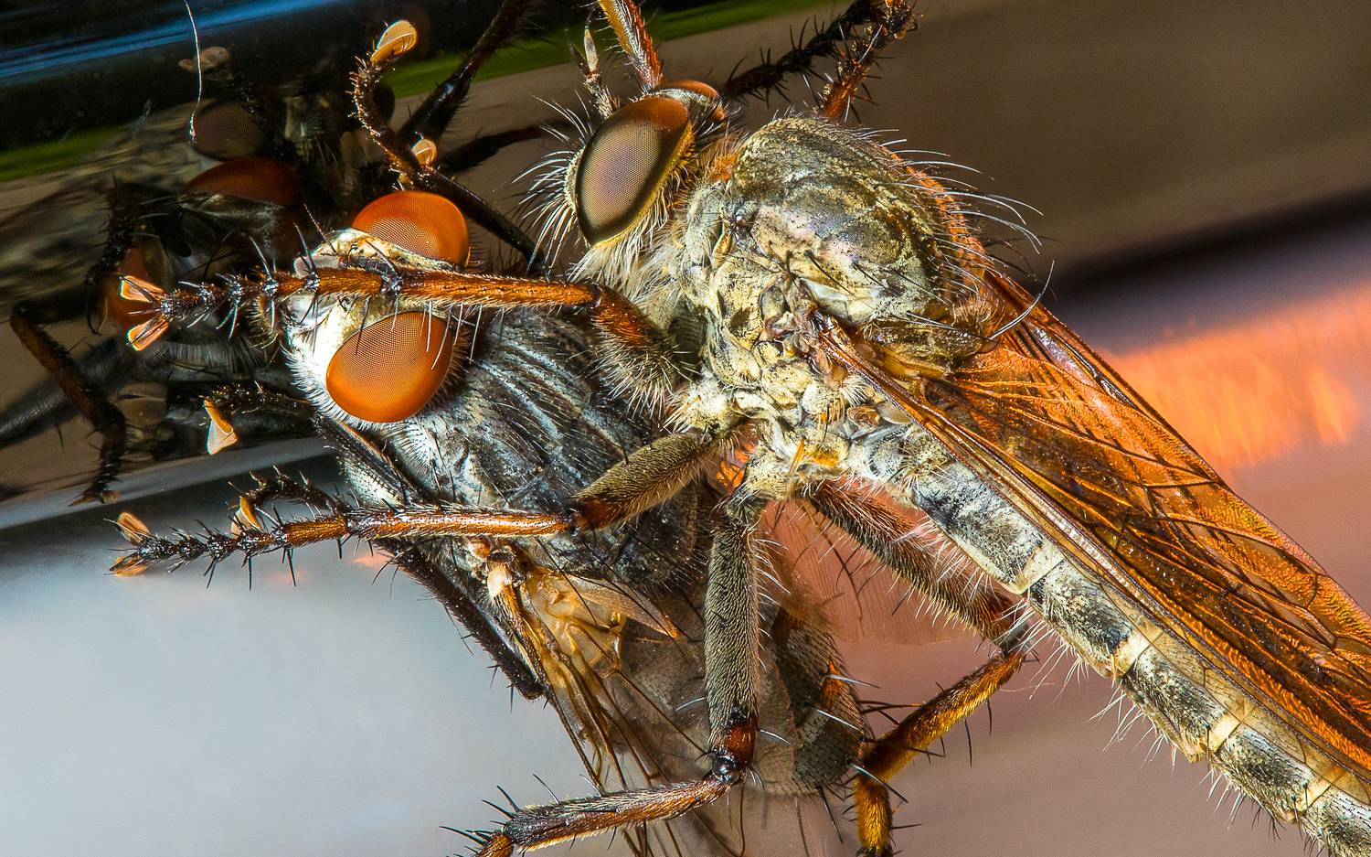 , Андрей Кривов