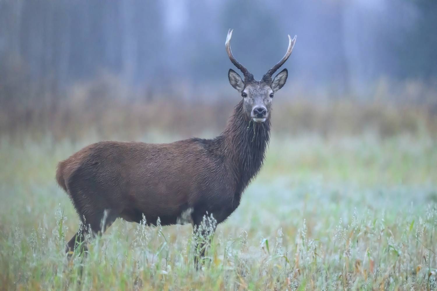 , Пупонин Сергей