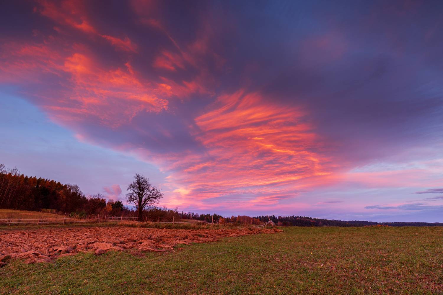 ,  Mirosław Pruchnicki