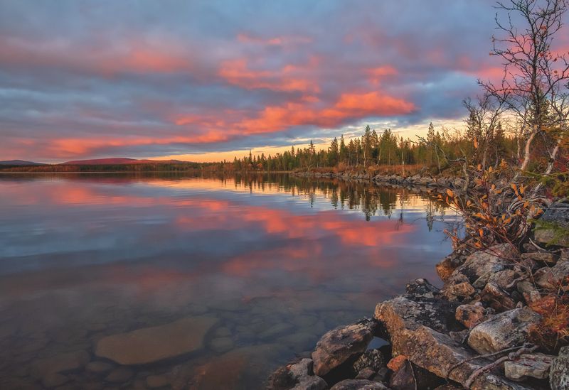 Осенние закты. фото превью