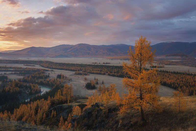 Степь Самаха фото превью