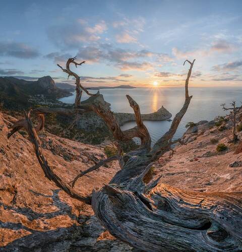 Ново Светские мотивы