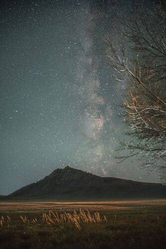 Алтайский край