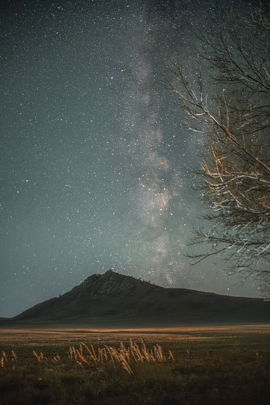 Алтай, ночь, звезды, млечный путь, гора, холм, дерево, поле Алтайский край фото превью