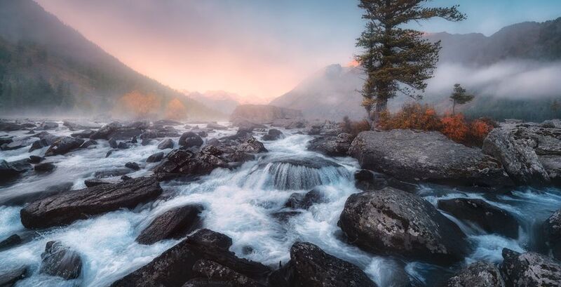 Морозное утро на Шумах фото превью