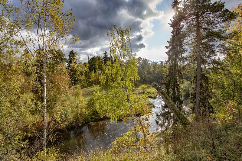 фото превью