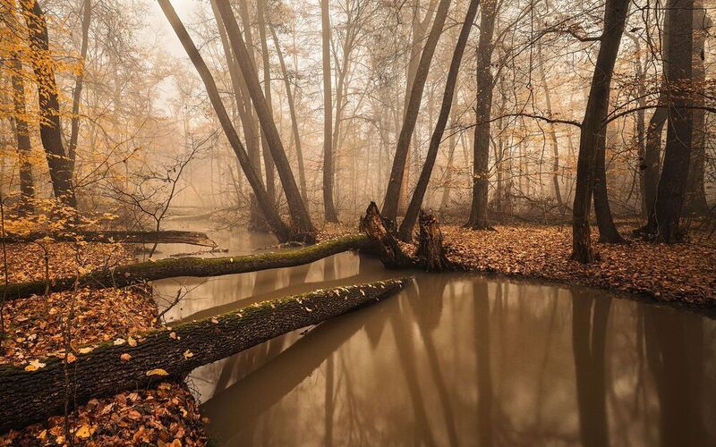 Autumn фото превью
