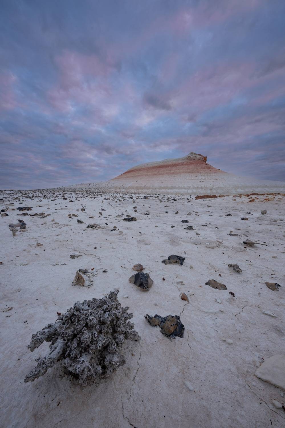 , Ширгин Сергей