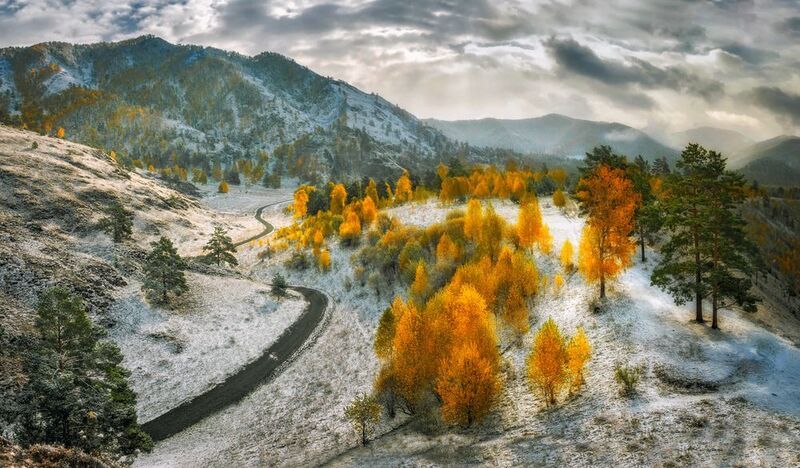 Прикосновение зимы.. фото превью