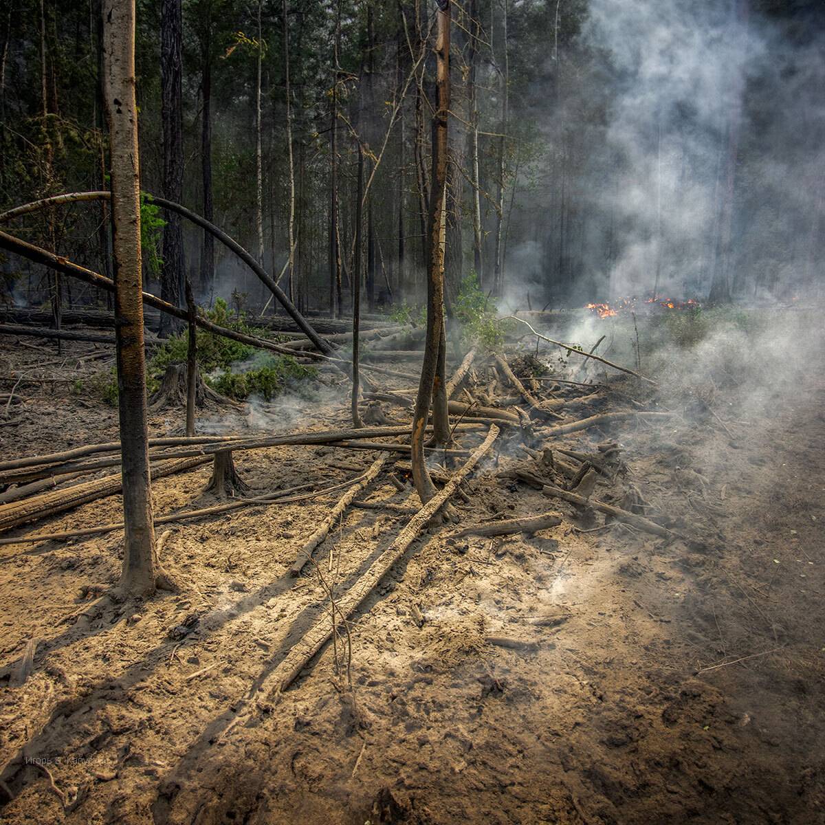 , Капустин Игорь