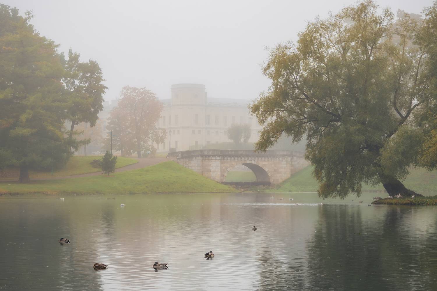 На Белом озере в Дворцовом парке, Гатчина. Октябрь 2025, Станислав Саблин