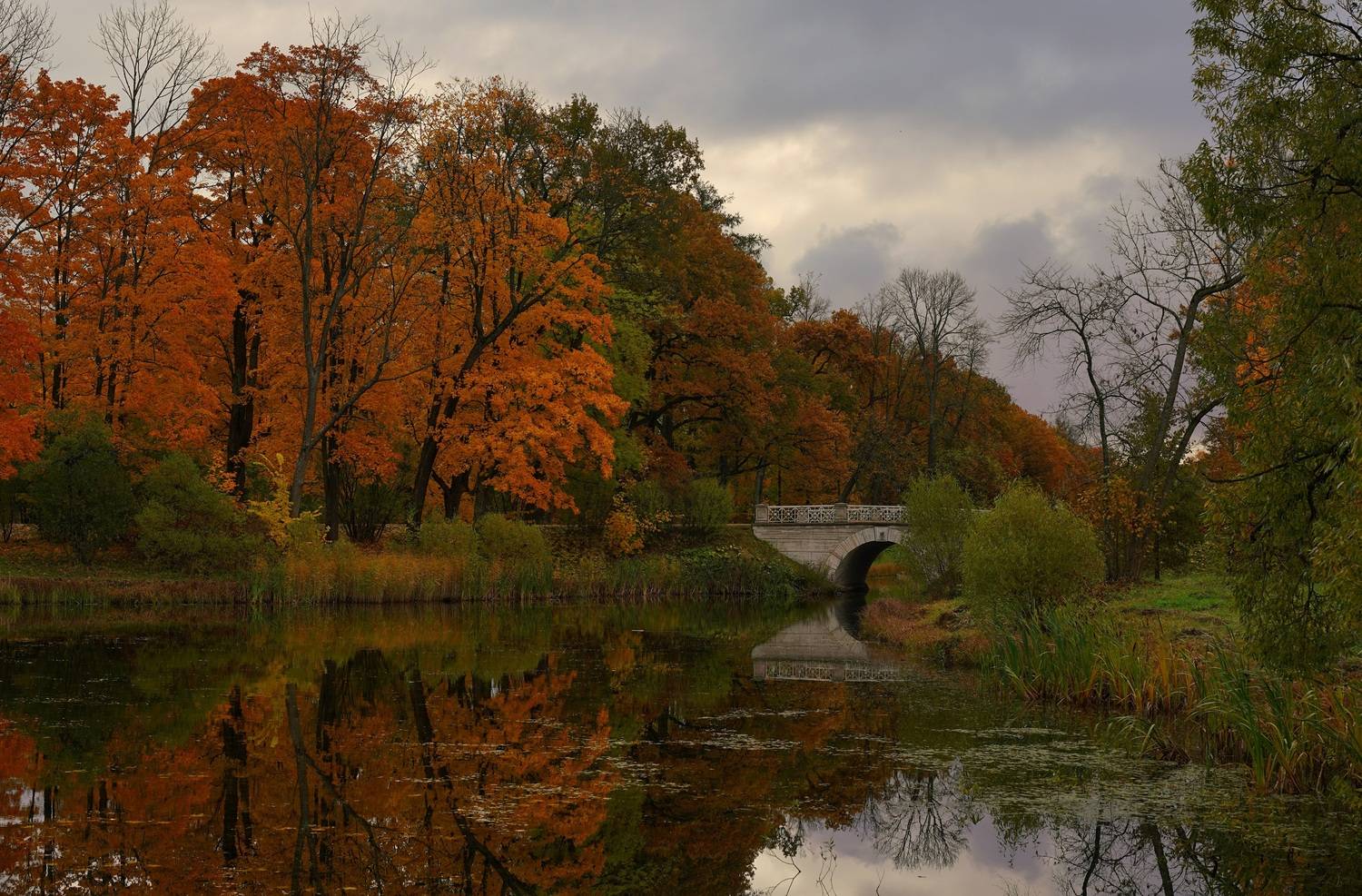 ,  Сергей Андреевич