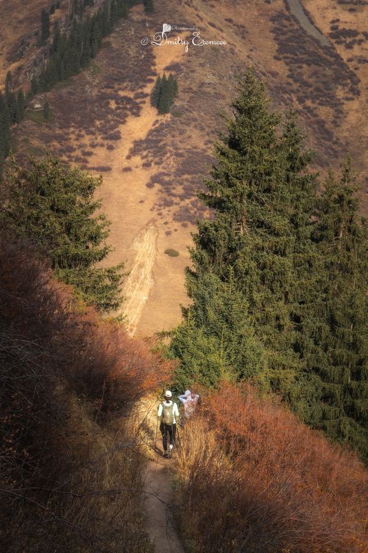 горы, осень, природа, люди, канатка Осенняя прогулка в Алматинских горах... фото превью