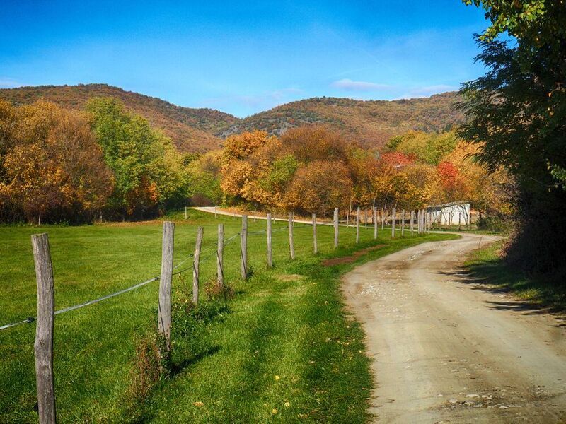 Autumn walk фото превью