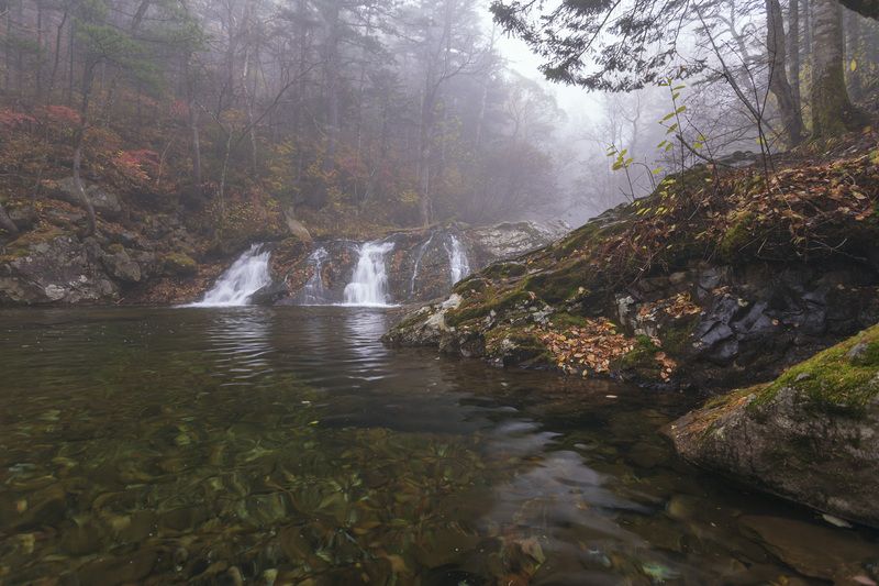 водопад, туман, тайга  фото превью
