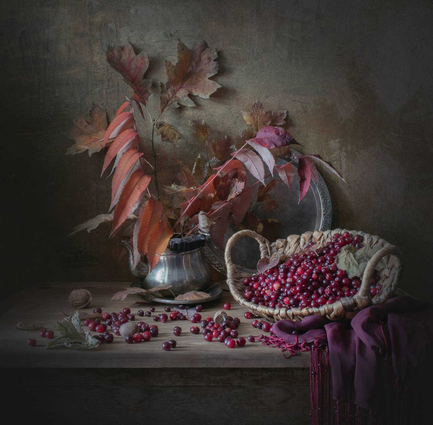 , Шипунова Ирина