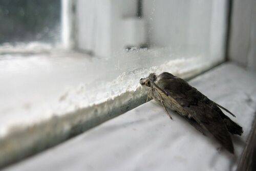 Когда за окном дождь