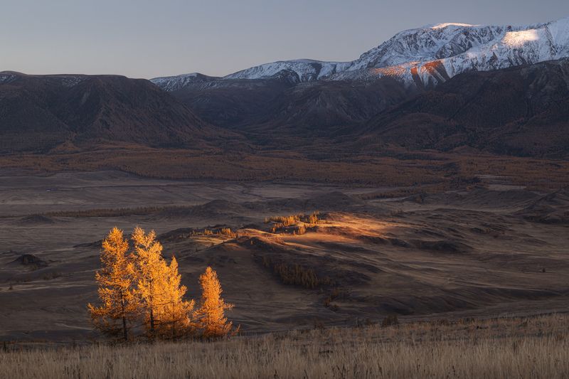 Свет уходящего дня фото превью