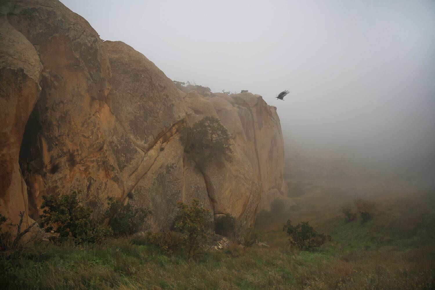 горы,туман,гриф,пейзаж,, Magov Marat