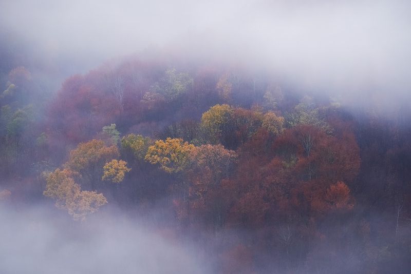 2025 фото превью