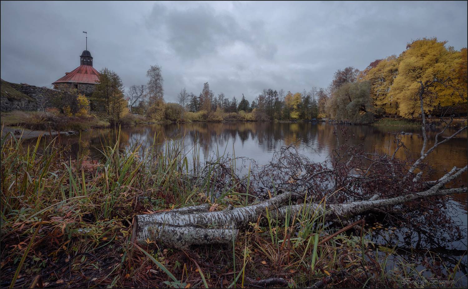 , Болеско Виктор